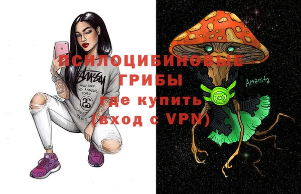 apvp Зеленодольск