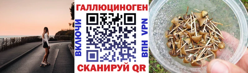 Купить  Пучеж  Галлюциногенные грибы MAGIC MUSHROOMS 